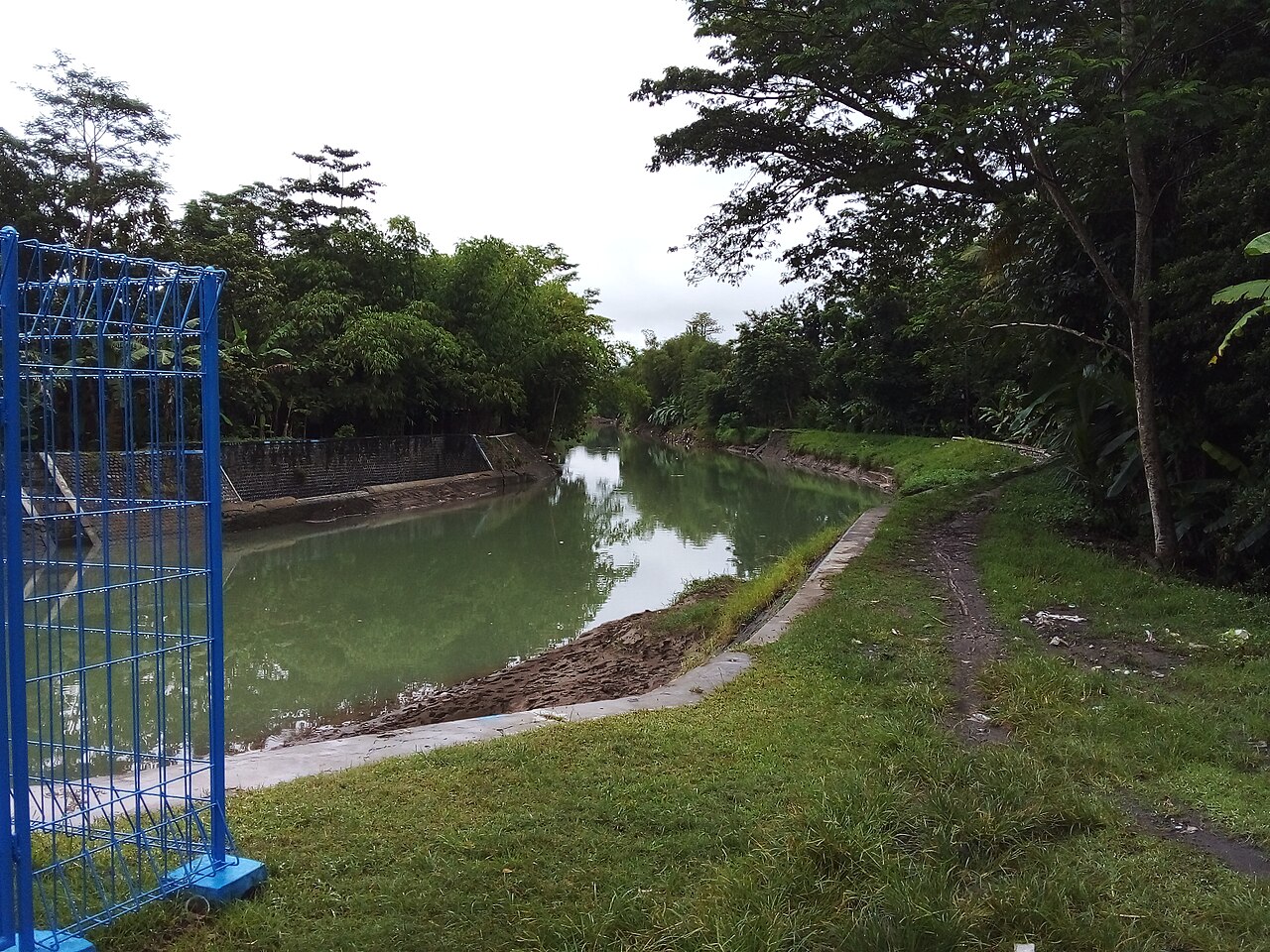 Saluran air di antara lahan hijau
